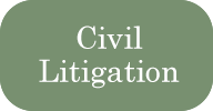 Civil Litigation